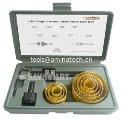 China Carbon Hole Saw Set with Mandrel (11-Piece) supplier