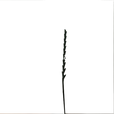 Oscillating Saw Blade,Multi Tool Accessories supplier