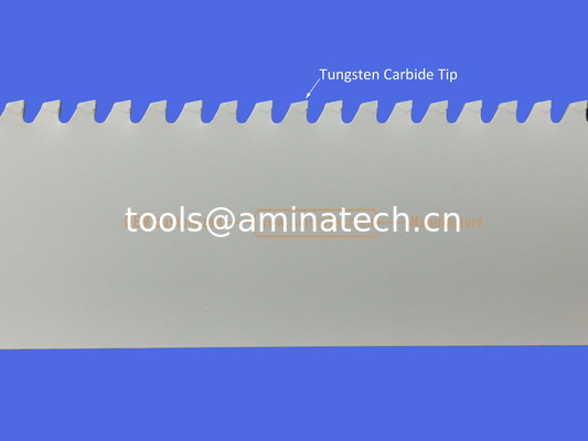 Tungsten Carbide Tipped Recipes Blade 6"-6T 150mm,Reciprocating ,Power Tools supplier